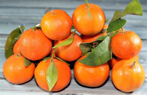 The Mandarin Orange Citrus Reticulata Also Known As The Mandarin Or