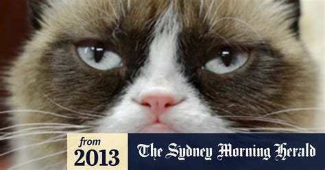 Grumpy Cat Lands Endorsement Deal