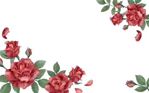 Red Rose Free Vector Art 35298 Free Downloads