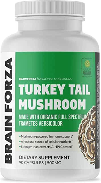 turkey tail mushroom capsules