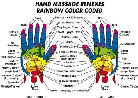 Hand Massage Reflexology Reflexology Chart Reflexology Hand Chart
