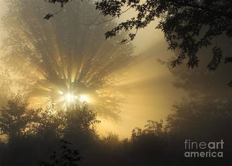Early Morning Foggy Sunrise Photograph By Randy Steele Fine Art America