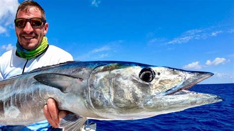 Wahoo Fishing Tips How To Catch Wahoo More Effectively