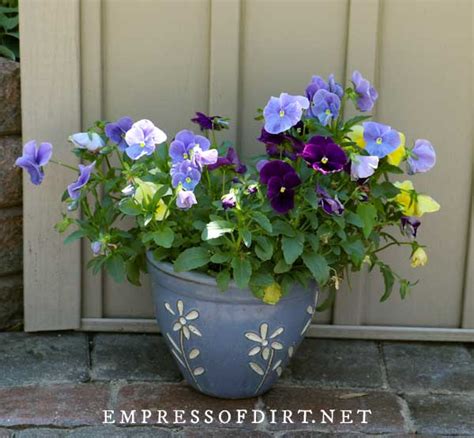 40 Unique Container Gardening Ideas