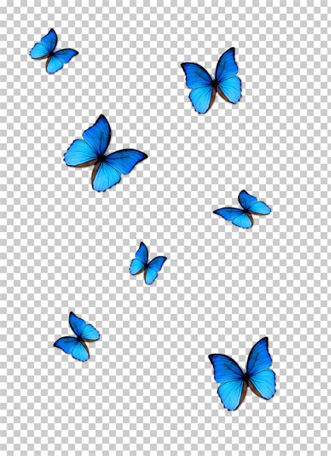 Find the perfect blue monarch butterfly stock illustrations from getty images. 30+ Trend Terbaru Blue Aesthetic Butterfly Png - Jeromesitaly
