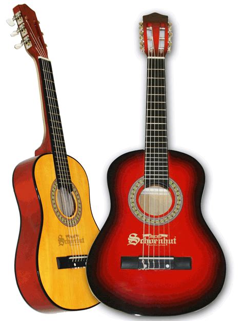 Acoustic Guitar Guitar Photo 424191 Fanpop