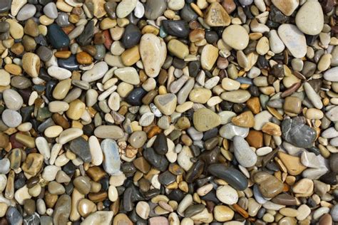 Pebbles On The Seashore Stock Image Image Of Closeup 157637585