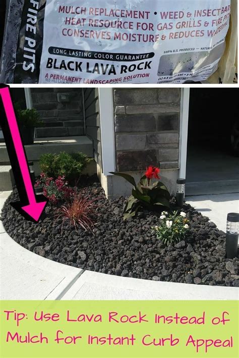 We did not find results for: Black Lava Rock Flower Bed Idea | 1000 | Rock flower beds ...
