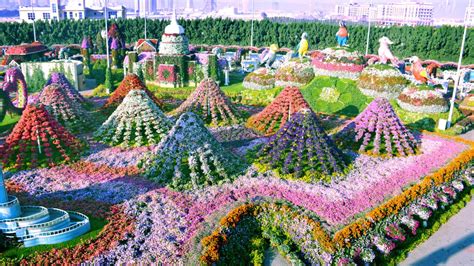 Dubai Miracle Garden Worlds Largest Flower Garden Cnn