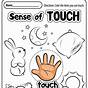 Kindergarten Five Senses Worksheets