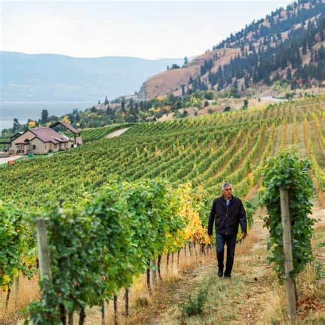 Okanagan Valley Wine Region Of British Columbia Wine Bc