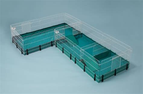 Guinea Habitat Plus Guinea Pig Cage By Midwest W Top Panel 47l X 24w