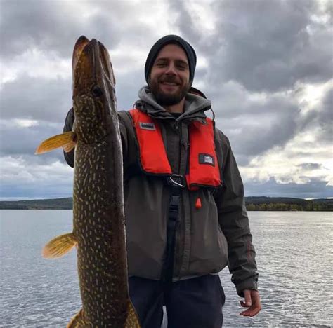 Pike Fishing Guide Service In Finland Big Pikes And Beautiful Nature