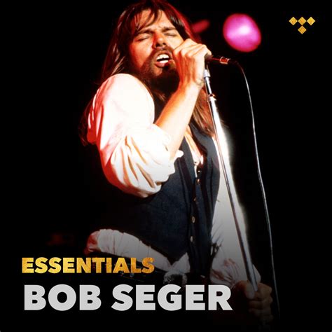 Bob Seger Essentials On Tidal