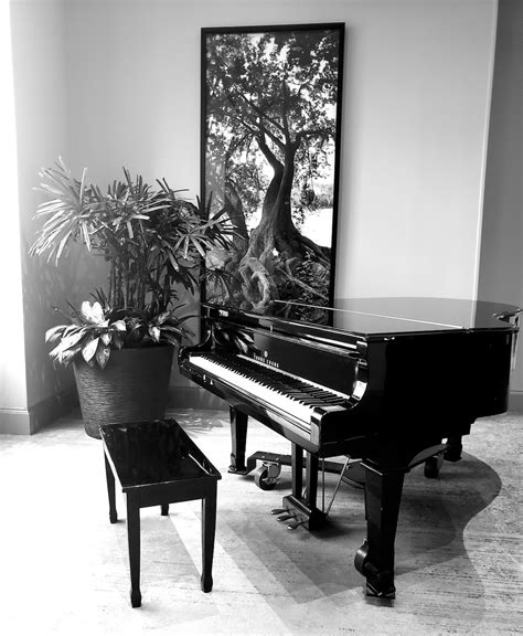 Brown Grand Piano Photo Free Grand Piano Image On Unsplash