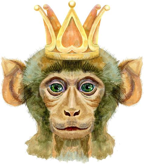 Monkey With Gold Crown Watercolor Illustration Isolated On White