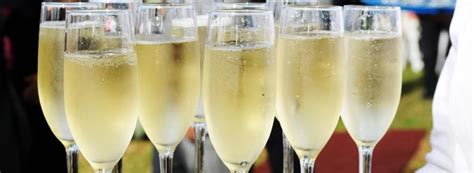 Scientists Uncover The Secrets Behind Champagnes Bubbles Wine