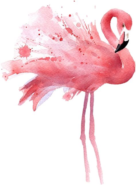 Flamingo Watercolor Freetoedit Sticker By Qwerty