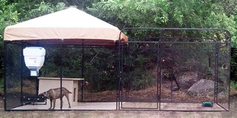 6x12 Ultimate Dog Kennel Dog Kennel And Run Dog Kennels For Sale Dog