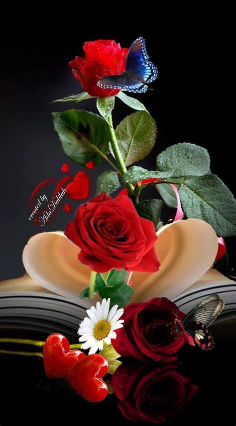 The Best 19 Love Romantic Flowers Red Rose Wallpaper Images Supraman