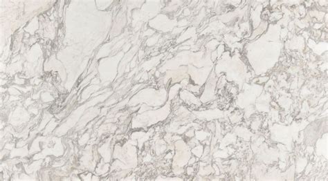 2cm Arabescato Fantastico Marble Stone Gallery Honed Marble Interior