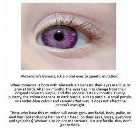 Alexandrias Genesis Tumblr Violet Eyes Purple Eyes Disease