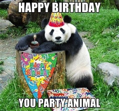 Instead of wasting paper on a card send a digital meme the environment will love you more and the earth will be a happier healthier place. 48 Amazing Birthday Memes