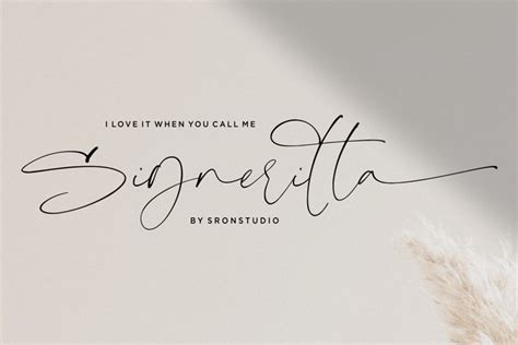 Signeritta Elegant Signature 385698 Script Fonts Font Bundles