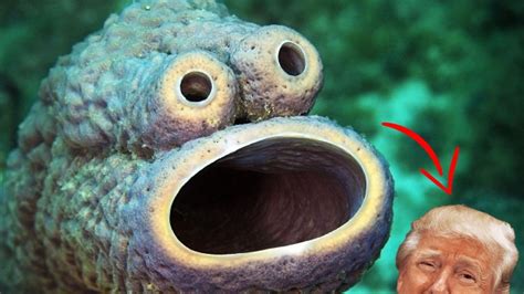 Top 10 Creepy Deep Sea Creatures You Didnt Know Existed Youtube