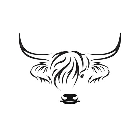 Highland Cow Head Vector Logo On White Background Vector Hair Animal