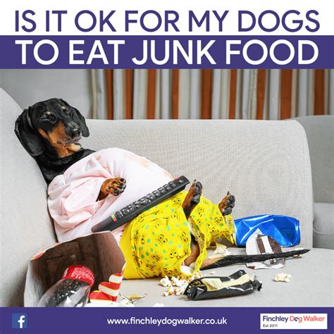 Dogs can eat potatoes (cooked and in moderation). Is it ok for my dogs to eat junk food such as chips ...