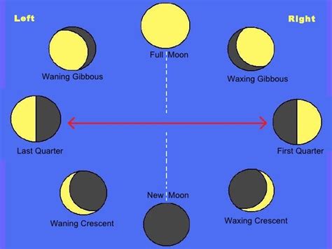 Moon Cycle