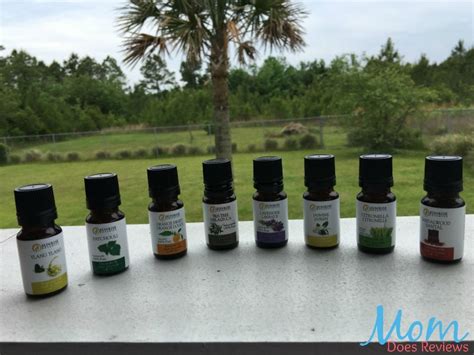 Sunrise Botanics Essential Oils Repell Outside Pests Review