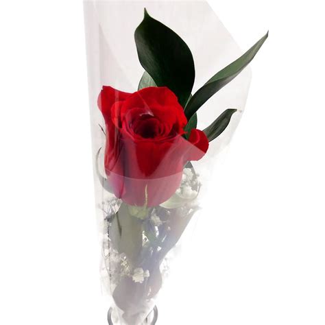 Red Rose Christchurch Florist