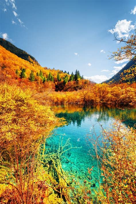 Autumn Forest Reflected In Pond With Azure Crystal Clear Water Stock
