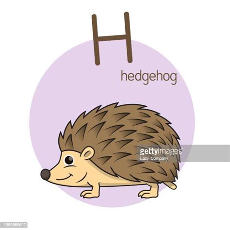 Cute Hedgehog Vector Photos And Premium High Res Pictures Getty Images
