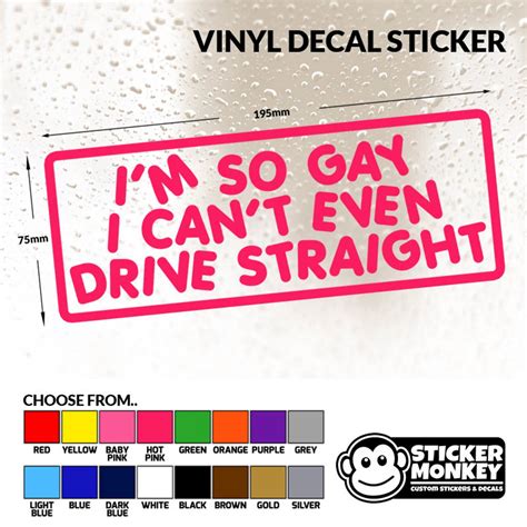 I M So Gay I Cant Even Drive Straight Funny Etsy Uk