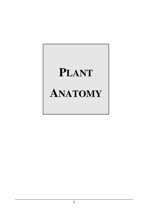 Solution Plant Anatomy Studypool
