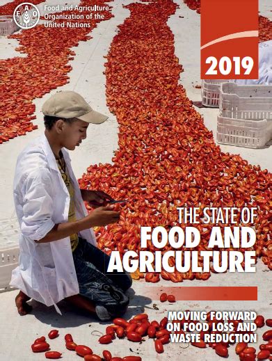 State Of Food And Agriculture Moving Forward On Food Loss And Waste Reduction Policy