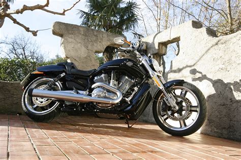 Harley Davidson Vrscf V Rod Muscle Photos Photogallery With 8 Pics