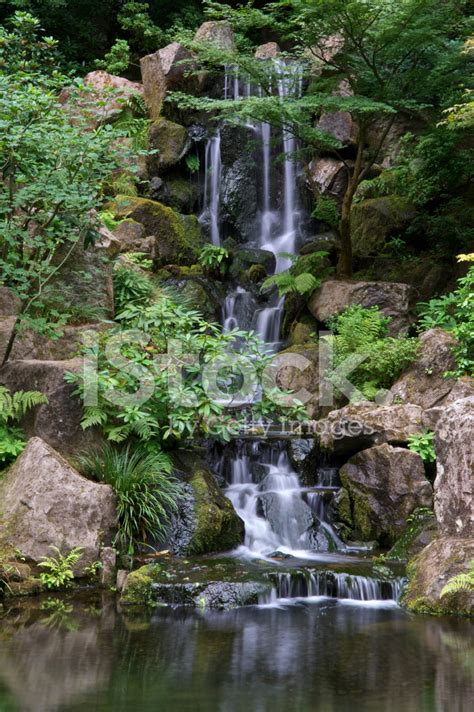 Waterfall Pond Boulders Trees Bushes Portland Japanese Garden Ve Stock