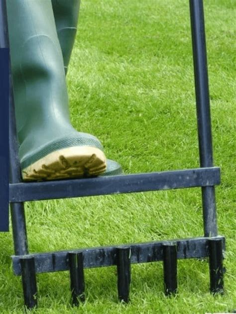 How Often Should You Aerate Your Lawn Story The Backyard Master