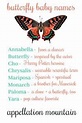 Butterfly Baby Names: Monarch, Mariposa, Yara - Appellation Mountain