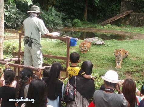 Semua planning nk bwk fmly jalan2 lost world of tambun. Homestay berdekatan Lost World of Tambun © LetsGoHoliday.my