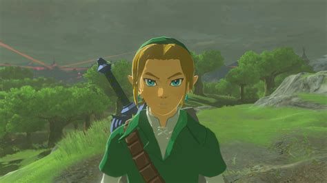 Adult Link Oot Face Shape The Legend Of Zelda Breath Of The Wild