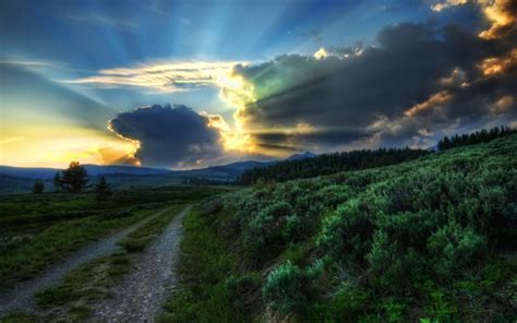 Plants Nature Landscapes Roads Trees Sky Sunset Sunrise Clouds