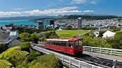 Must-Visit Attractions in Wellington, New Zealand