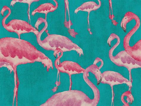 Flamingo Wallpaper Uk Wallpapersafari