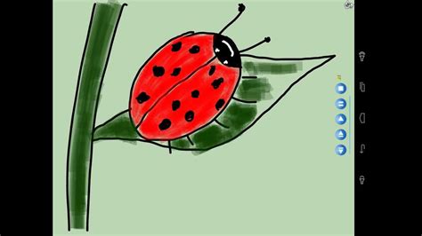 Aprende A Dibujar Una Mariquita Learn To Draw A Ladybug Youtube