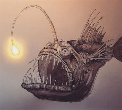 Angler Fish Illustration